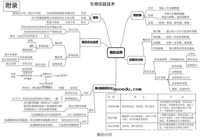 高中生物思维导图 如何学好生物知识