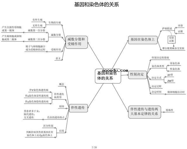 高中生物思维导图 如何学好生物知识