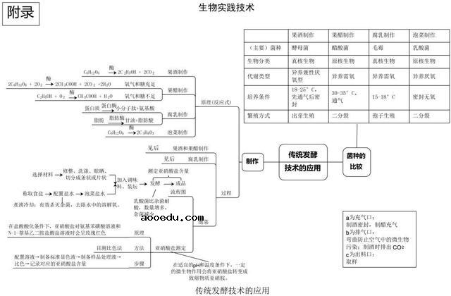 高中生物思维导图 如何学好生物知识