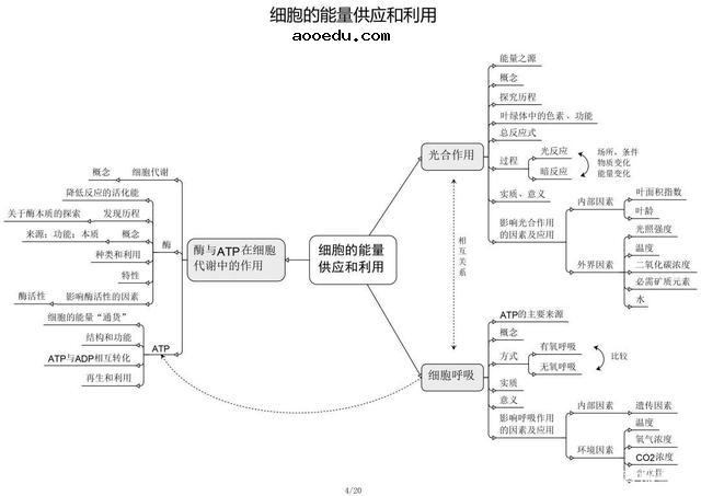 高中生物思维导图 如何学好生物知识