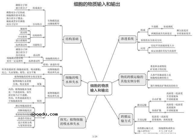 高中生物思维导图 如何学好生物知识