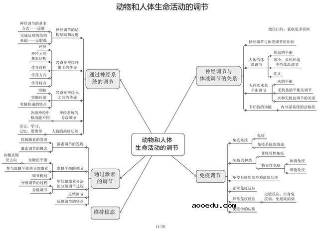 高中生物思维导图 如何学好生物知识