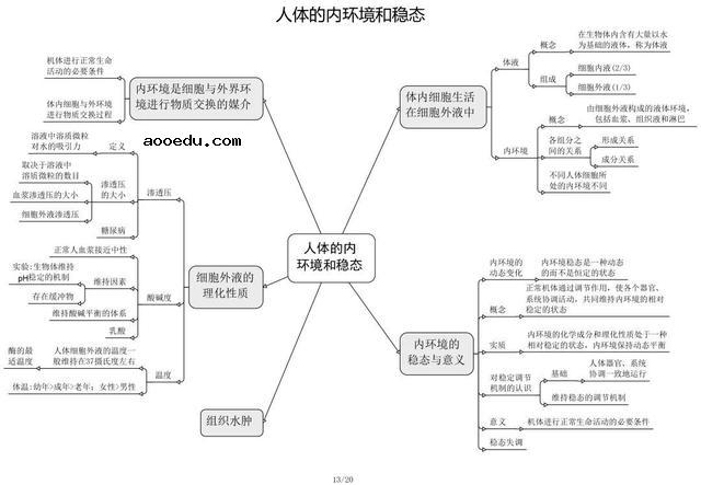 高中生物思维导图 如何学好生物知识