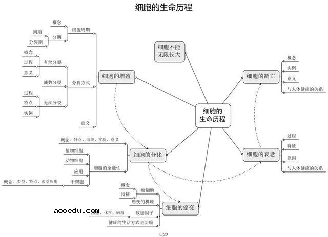 高中生物思维导图 如何学好生物知识