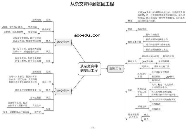 高中生物思维导图 如何学好生物知识