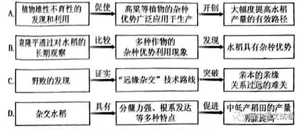 2022年高考全国甲卷语文试题及参***