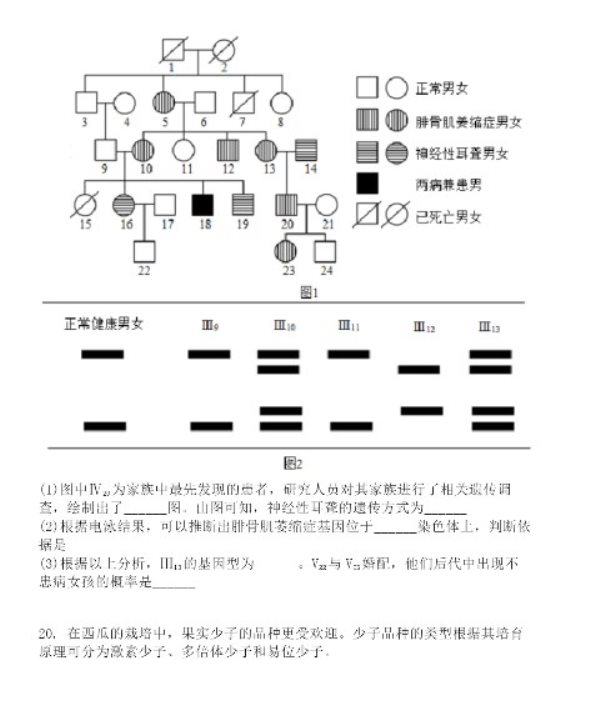 长郡中学2023高三月考生物试题