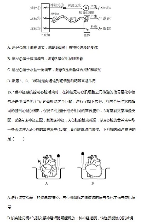 2023北京第四中学高考生物模拟试题及答案