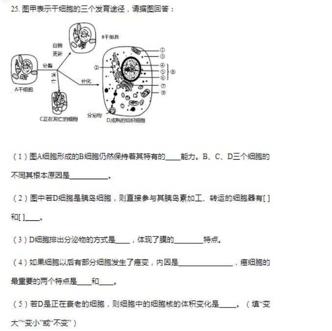 2023北京第四中学高考生物模拟试题及答案