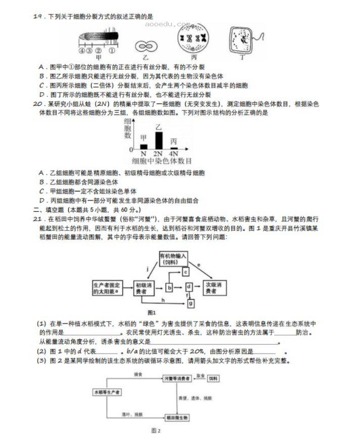 2023重庆高考生物模拟试题及答案解析