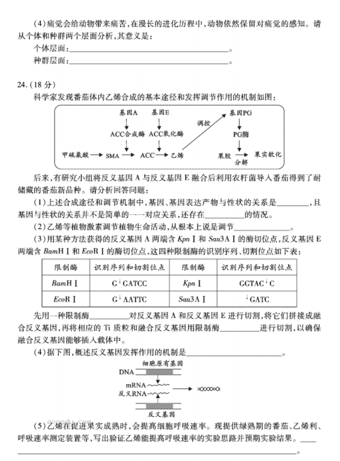 湖北2023高三9月起点考试生物试题及答案