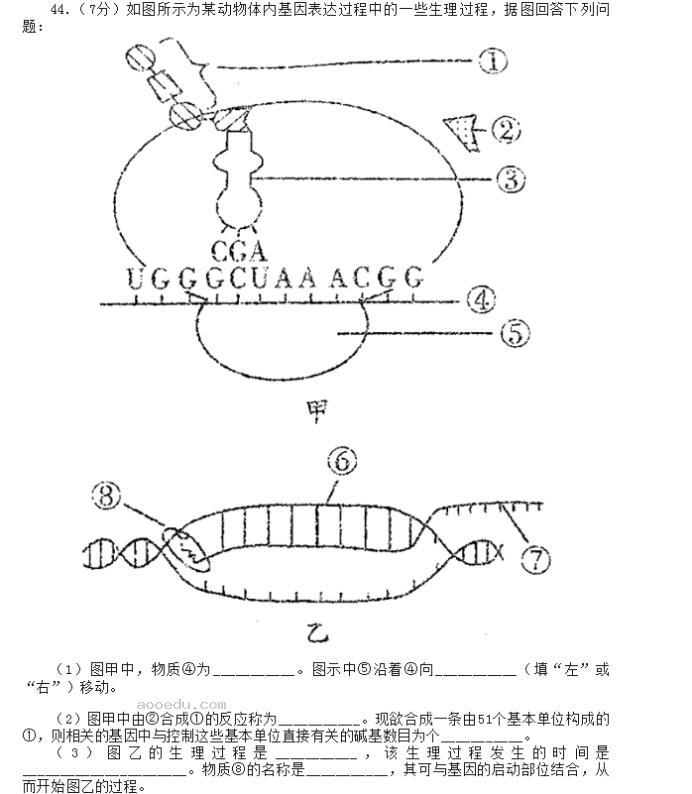 2023黑龙江高考生物仿真模拟试题卷