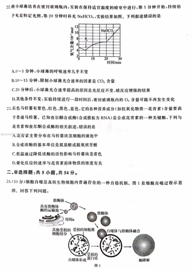 2023安徽高三生物模拟试题及答案解析汇总