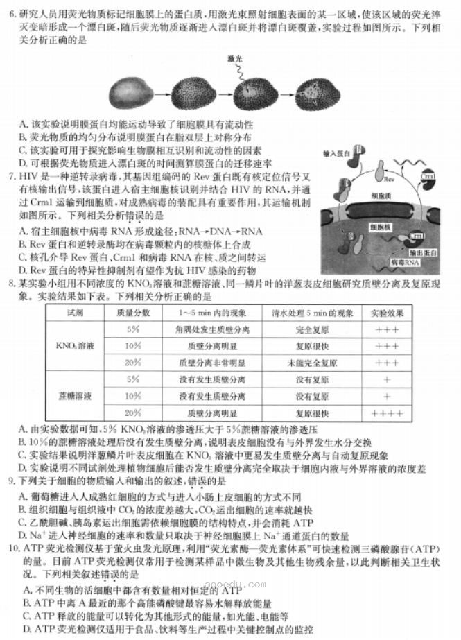 陕西2023高三生物仿真模拟试题及答案