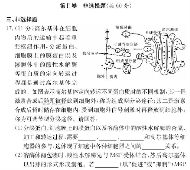 2023湖南师大附中月考生物试题及答案