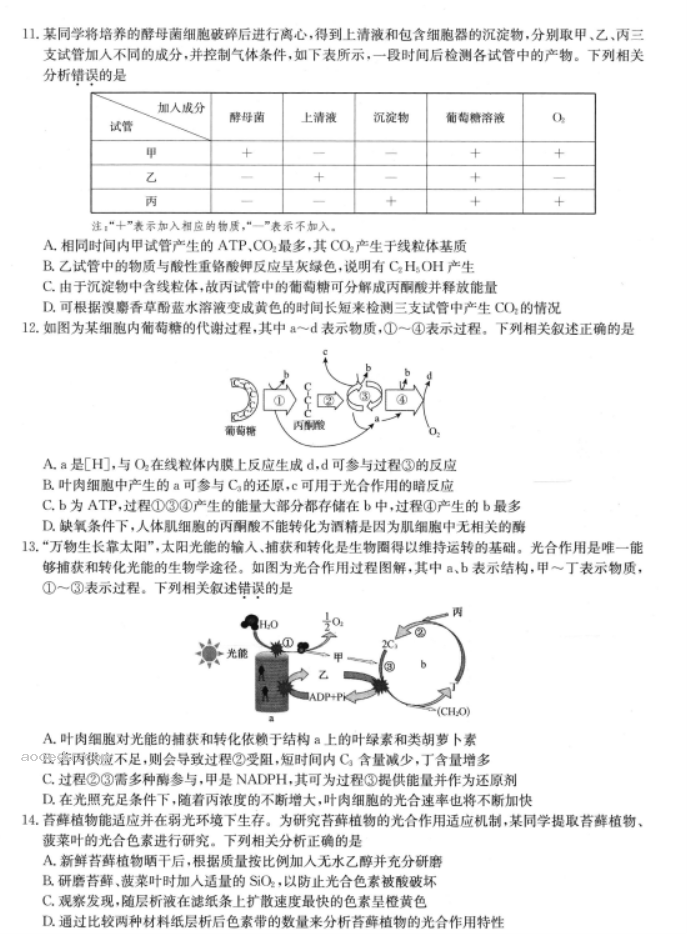 陕西2023高三生物仿真模拟试题及答案