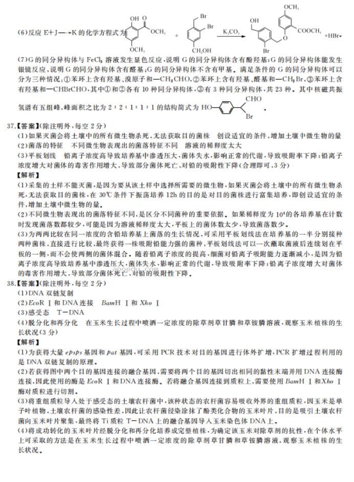 2023广西高三联考理综模拟试题