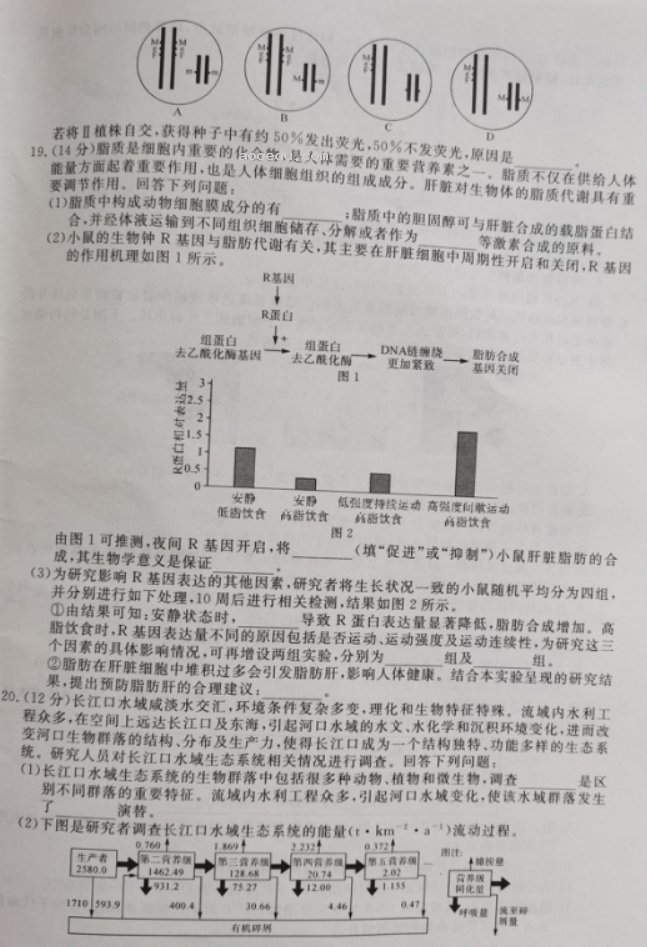 湖南2023届高三9月大联考生物试题及参***