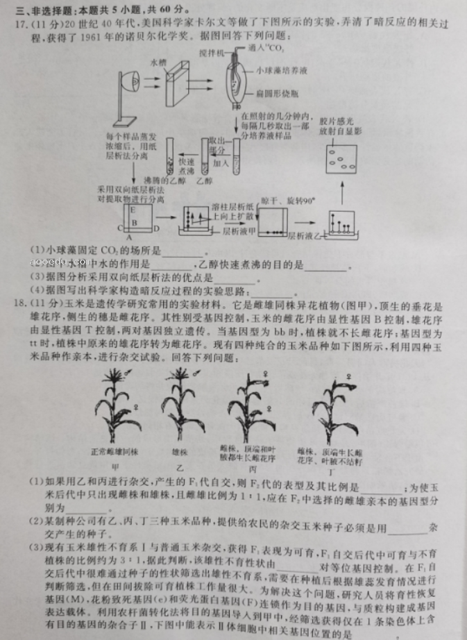 湖南2023届高三9月大联考生物试题及参***