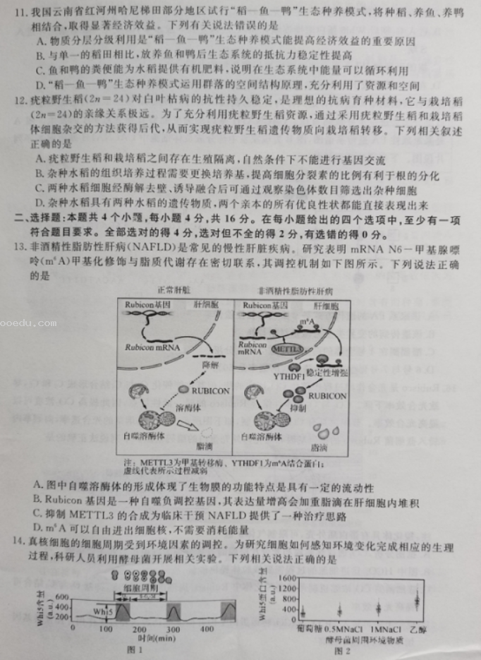 湖南2023届高三9月大联考生物试题及参***