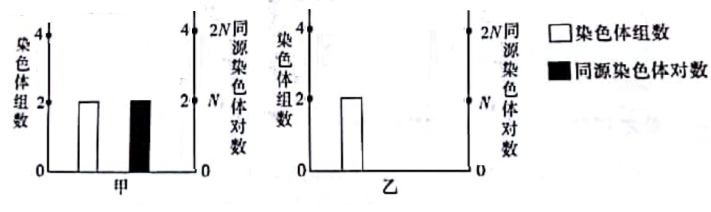 2023江苏十校高三理综联考试题及答案解析