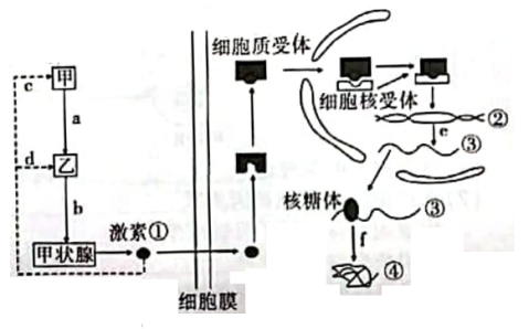 2023江苏十校高三理综联考试题及答案解析