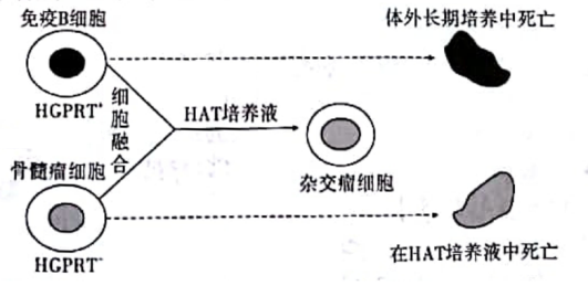 2023江苏十校高三理综联考试题及答案解析