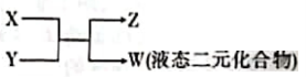 2023江苏十校高三理综联考试题及答案解析