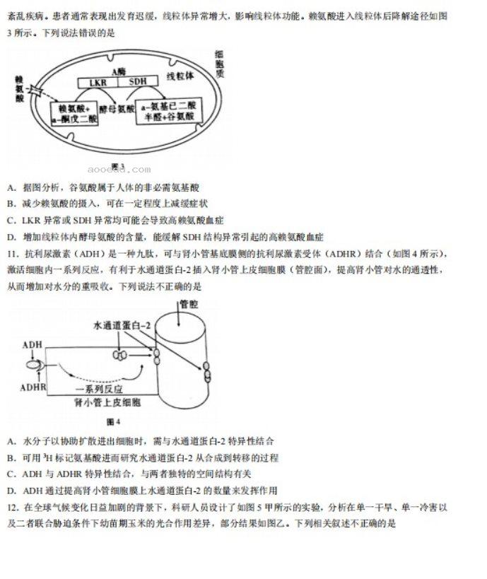 2023山西太原市英才学校高三生物第三次测试题