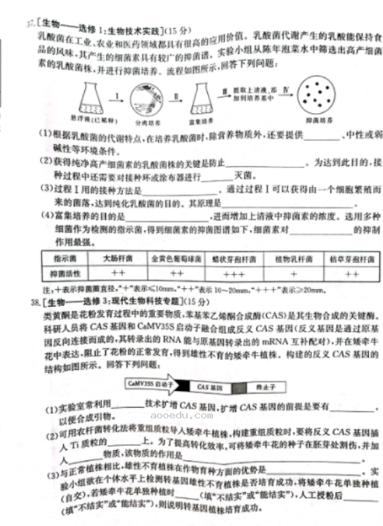 广西桂林市、北海市2023届高三5月联合模拟理综试题含答案