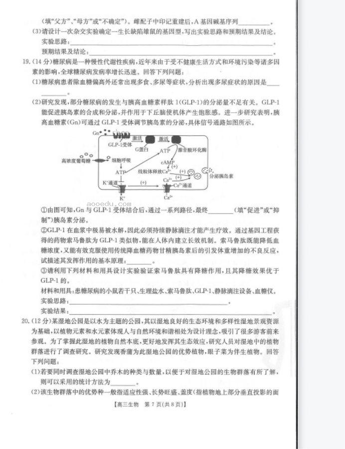 新疆阿瓦提县第四中学2023高考生物倒计时模拟卷