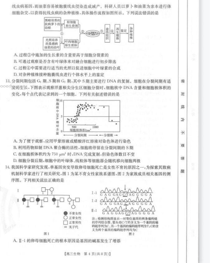 新疆阿瓦提县第四中学2023高考生物倒计时模拟卷