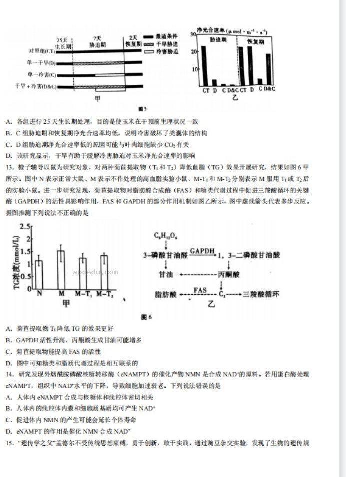 2023山西太原市英才学校高三生物第三次测试题