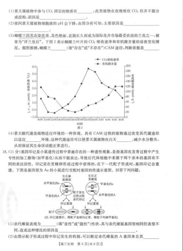 新疆阿瓦提县第四中学2023高考生物倒计时模拟卷