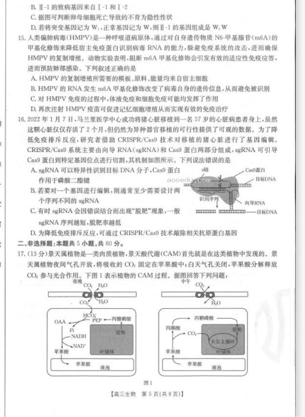 新疆阿瓦提县第四中学2023高考生物倒计时模拟卷