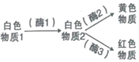 2023四川省宜宾市叙州区第二中学高三在线月考生物试卷