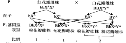 2023届四川省宜宾市叙州区第二中学校高三理综试卷