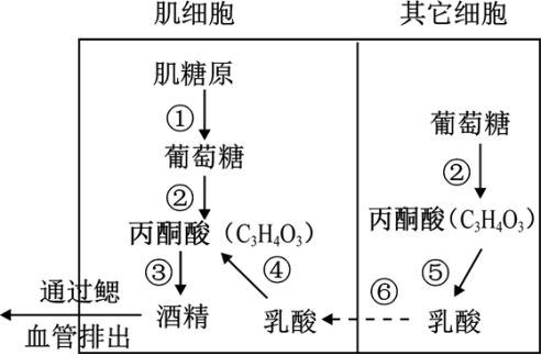 2023届四川省宜宾市叙州区第二中学校高三理综试卷