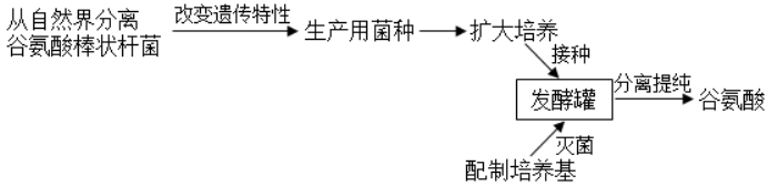 2023届四川省宜宾市叙州区第二中学校高三理综试卷