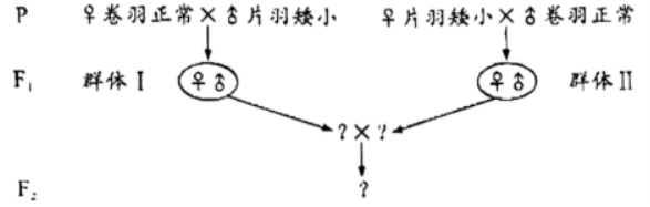 2023广东高考生物试题【word精校版】