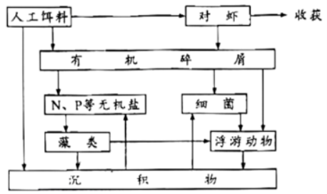 2023广东高考生物试题【word精校版】