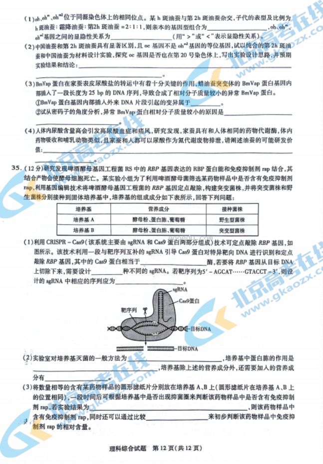 2024天一大联考高三顶尖计划理综试题及答案解析