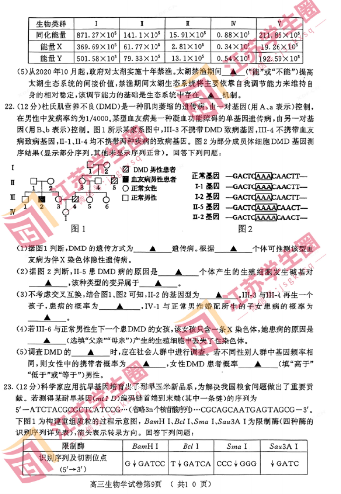 2024江苏南京高三零模考试生物试题及答案解析