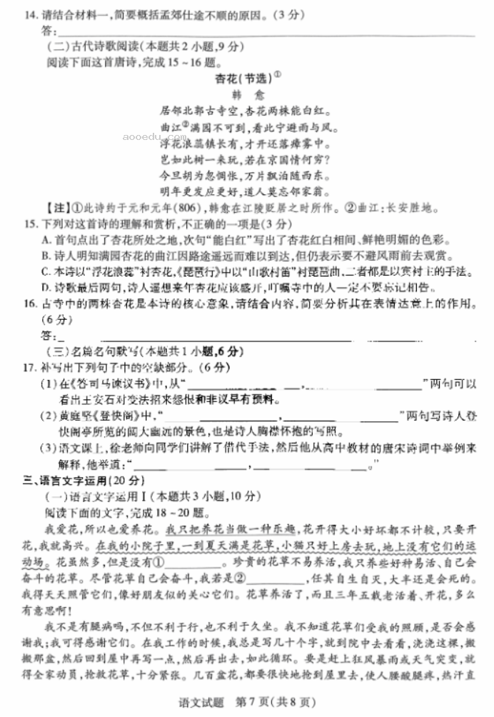 2024天一大联考高三阶段性测试语文试题及答案解析