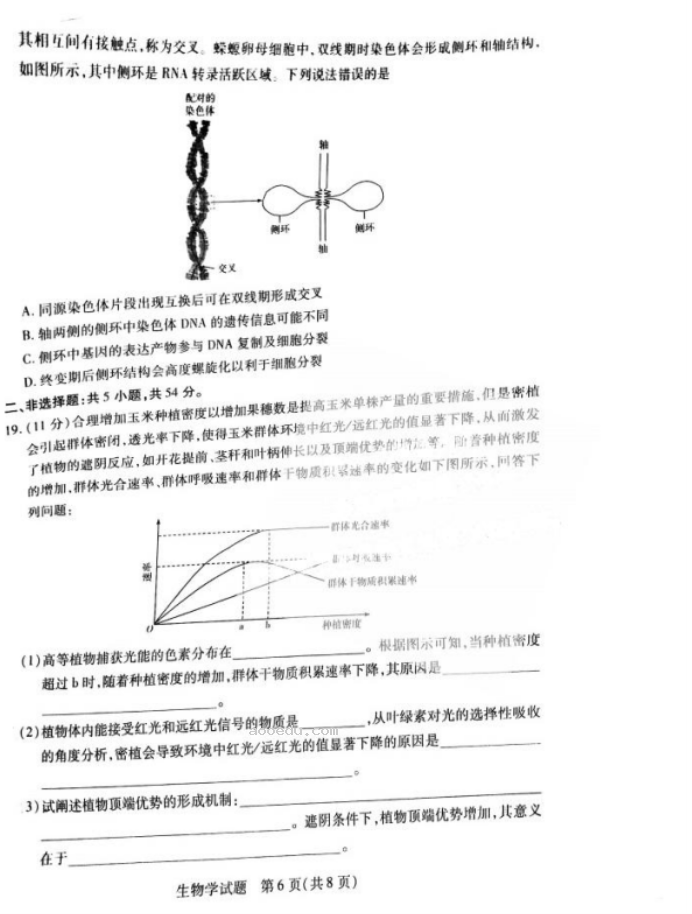 2024天一大联考高三阶段性测试生物试题及答案解析