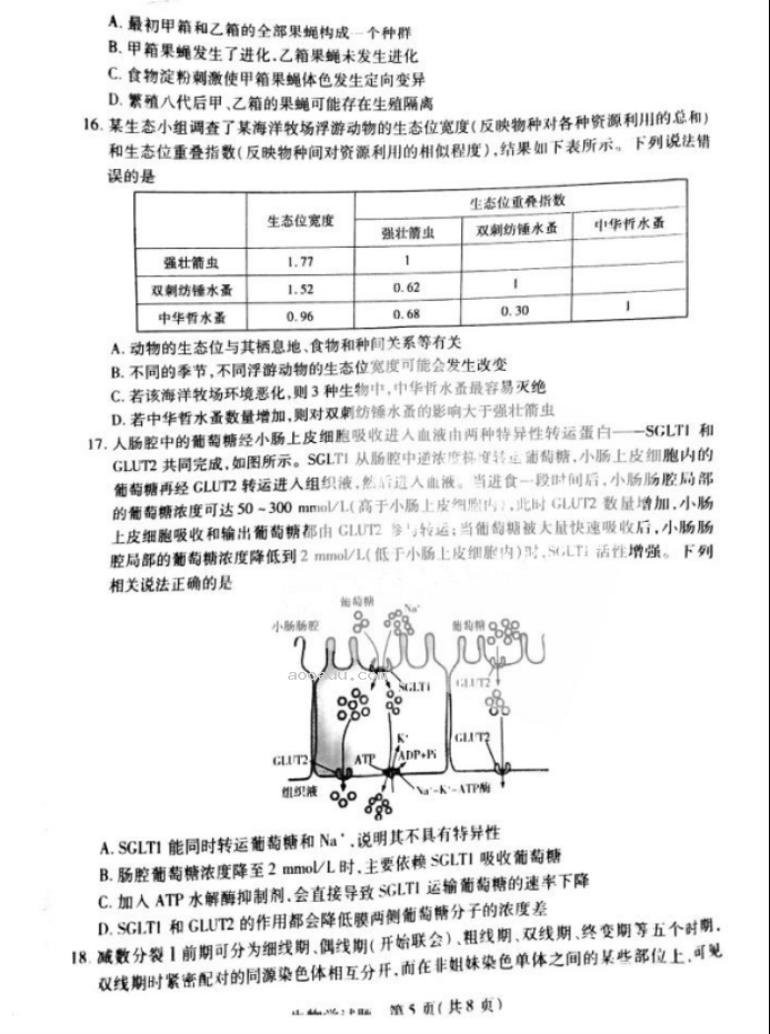 2024天一大联考高三阶段性测试生物试题及答案解析