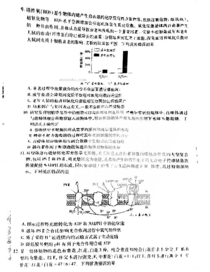 2024天一大联考高三阶段性测试生物试题及答案解析