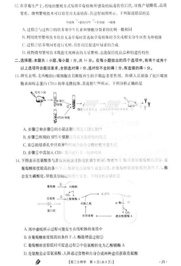 2024年9月江西金太阳高三第一次联考生物试题及答案解析