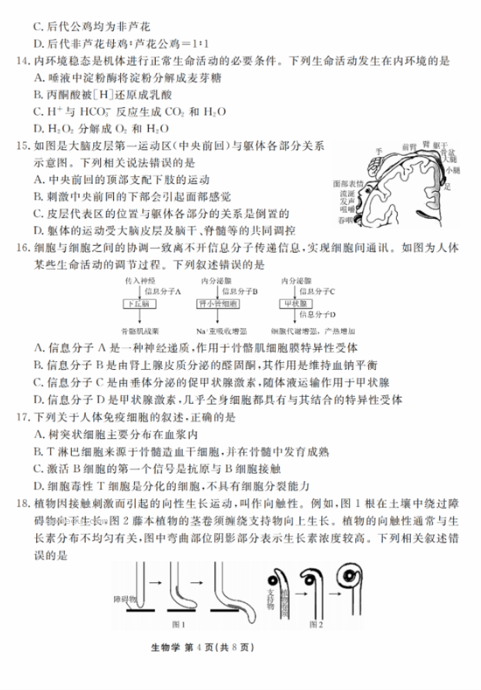 衡水金卷2024新高三摸底联考生物试题及答案解析