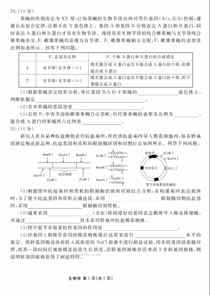 衡水金卷2024新高三摸底联考生物试题及答案解析